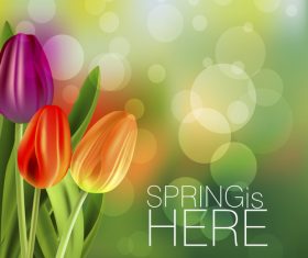 Spring tulip and blurs background vector 02