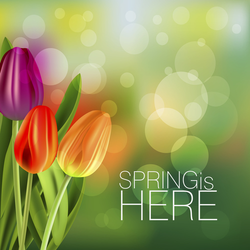 Spring tulip and blurs background vector 02