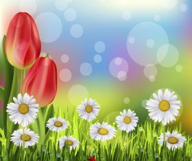 Spring tulip and blurs background vector 03