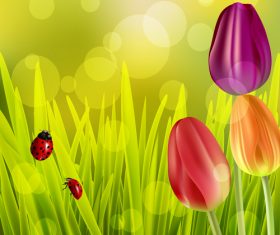 Spring tulip and blurs background vector 04