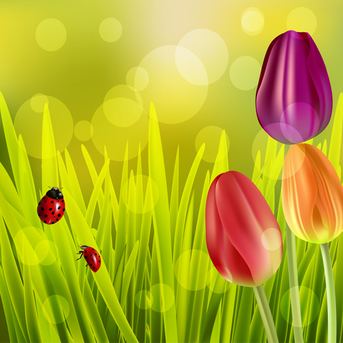 Spring tulip and blurs background vector 04