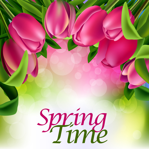 Spring tulip and blurs background vector 06