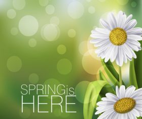 Spring white flower and blurs background vector 01