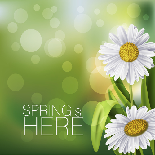 Spring white flower and blurs background vector 01