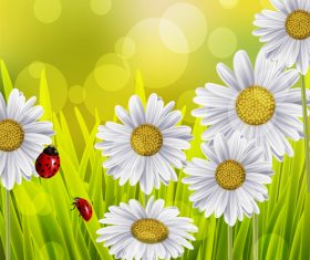 Spring white flower and blurs background vector 02