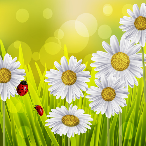 Spring white flower and blurs background vector 02
