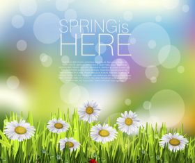 Spring white flower and blurs background vector 03