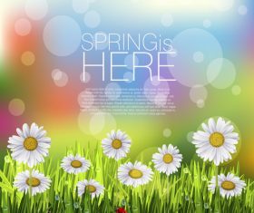 Spring white flower and blurs background vector 04