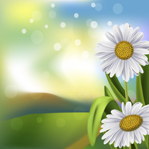 Spring white flower and blurs background vector 05