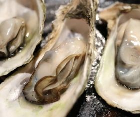 Steamed oyster Stock Photo 01