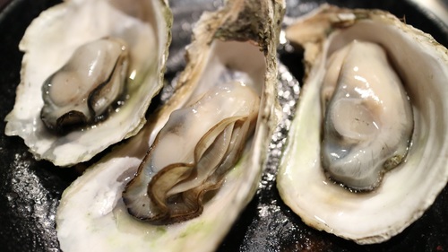 Steamed oyster Stock Photo 01