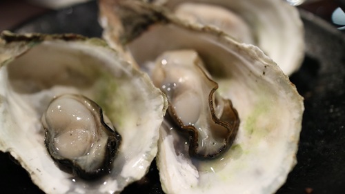 Steamed oyster Stock Photo 02