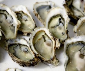 Steamed oyster Stock Photo 04