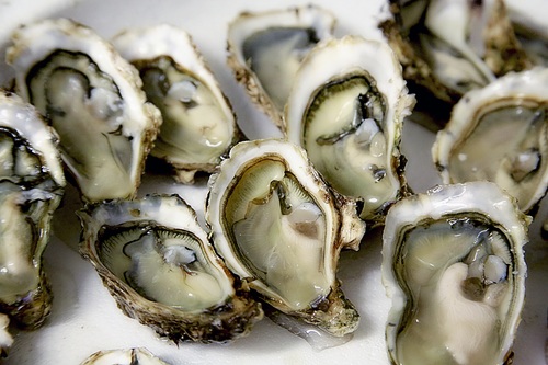 Steamed oyster Stock Photo 04
