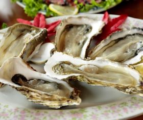 Steamed oysters and lemon Stock Photo 01