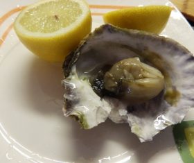 Steamed oysters and lemon Stock Photo 02