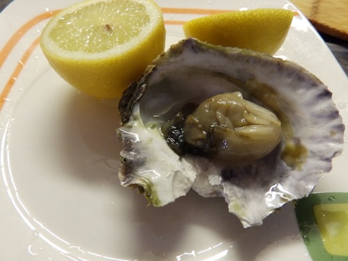 Steamed oysters and lemon Stock Photo 02