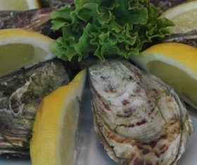 Steamed oysters and lemon Stock Photo 03