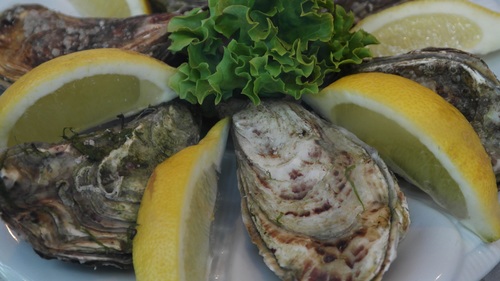 Steamed oysters and lemon Stock Photo 03