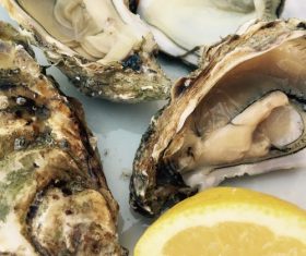 Steamed oysters and lemon Stock Photo 04