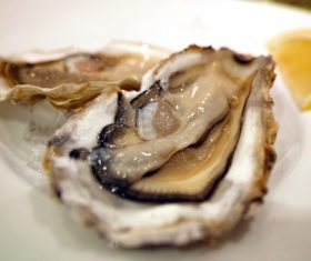 Steamed oysters and lemon Stock Photo 06