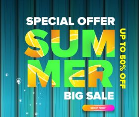 Summer sale poster with wooden background vector 04