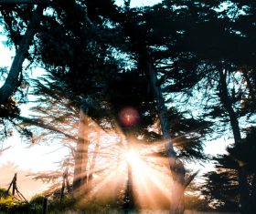 Sun rays on natural landscape Stock Photo