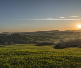 Sunny lush field scenery Stock Photo 02