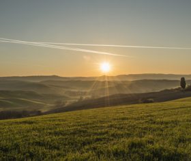 Sunny lush field scenery Stock Photo 03