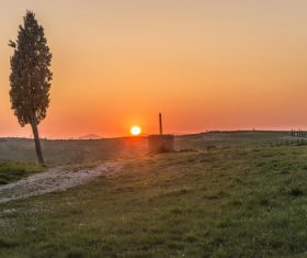 Sunny lush field scenery Stock Photo 05