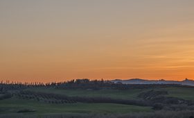Sunny lush field scenery Stock Photo 06
