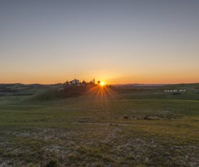 Sunny lush field scenery Stock Photo 07