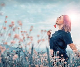 Sunshine Flower Sea Beauty Stock Photo