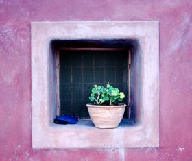 Tiny tree pot on square window Stock Photo