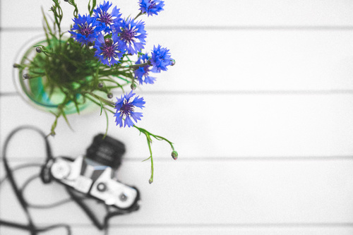 Top view of cornflowers and vintage camera Stock Photo