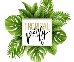 Tropical trees leaves background vector