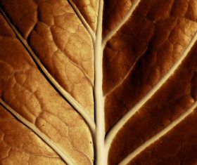 Various Textures mix Stock Photo 15