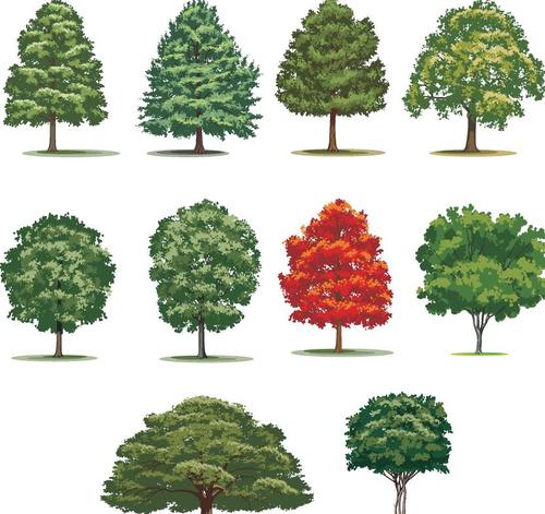 Vector tree illustration material 01