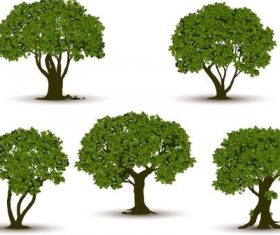 Vector tree illustration material 03
