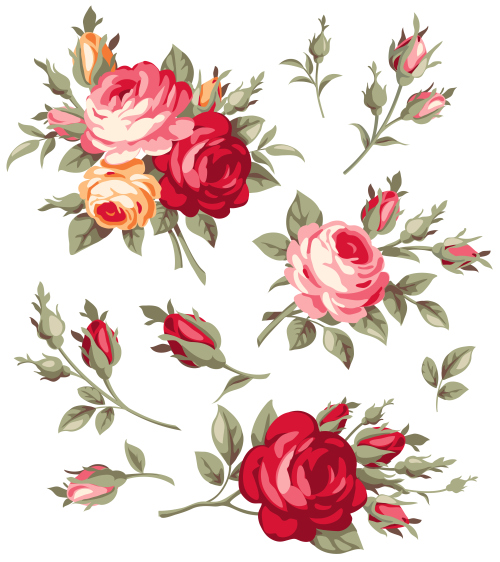 Vintage rose flowers vector