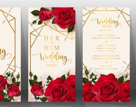 Wedding invitation cards with red rose vector 03