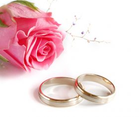 Wedding rings and roses Stock Photo