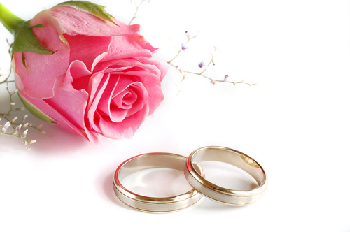 Wedding rings and roses Stock Photo