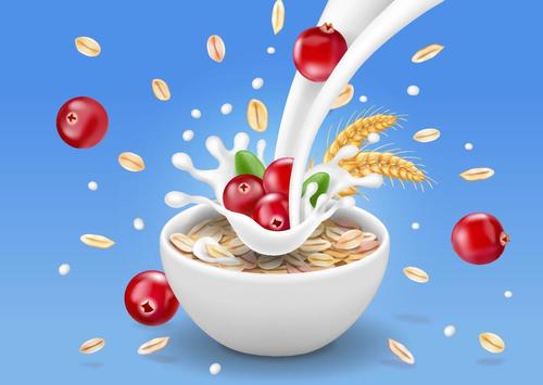 Wheat berry with peanut and milk vector