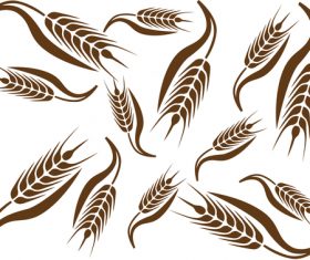 Wheat pattern design vector 03