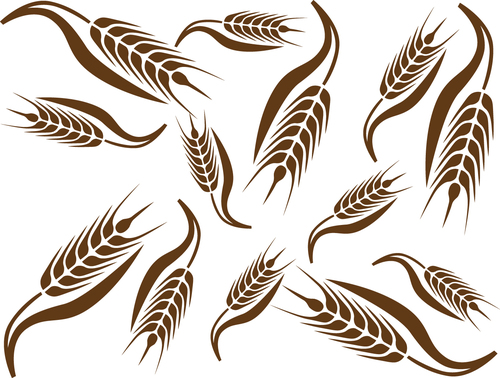 Wheat pattern design vector 03