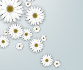 White chrysanthemum background vectors 02