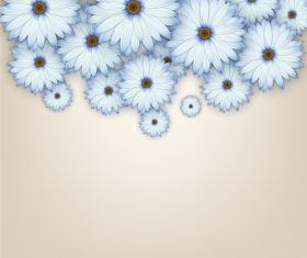 White chrysanthemum background vectors 03