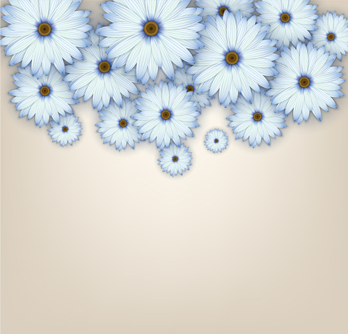 White chrysanthemum background vectors 03