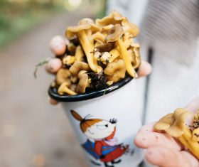 fresh mushroom contained in cups Stock Photo